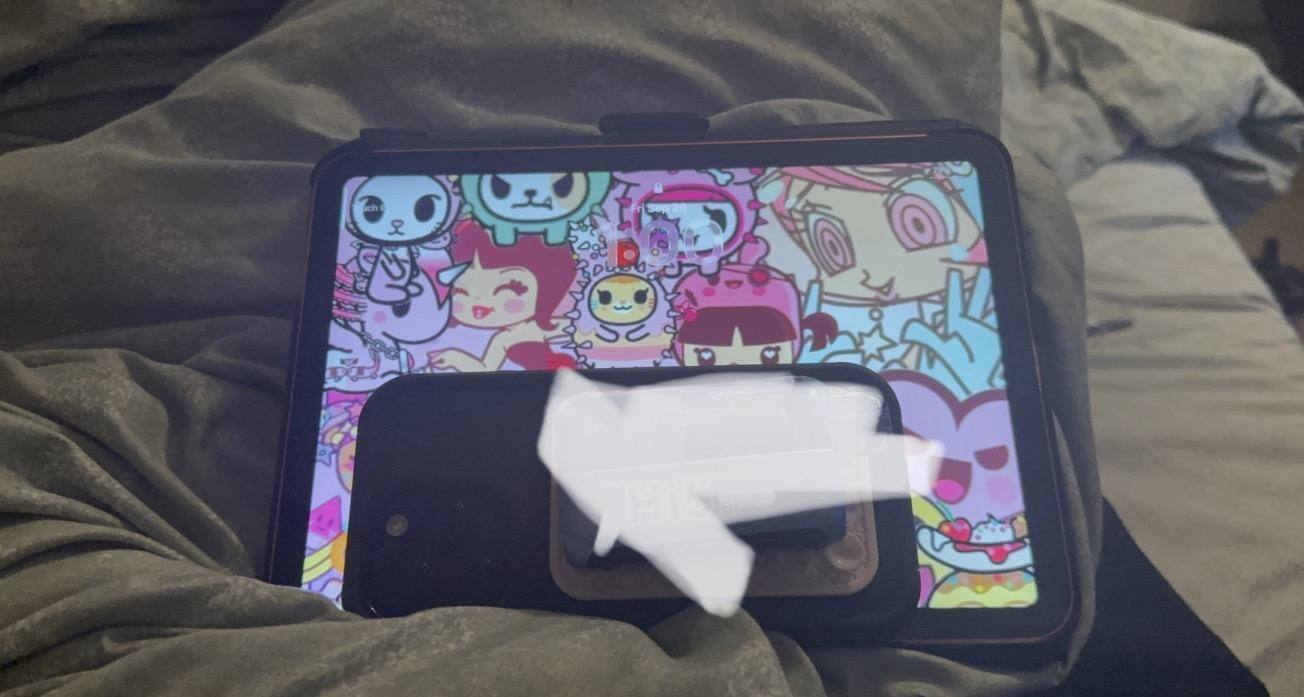 Customer provided, click to load a larger version