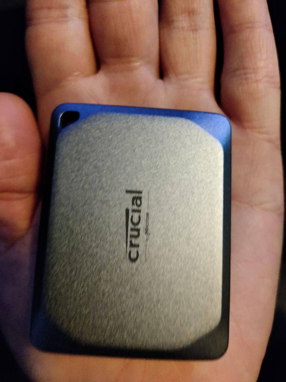 Size comparison with palm of hand, click to load a larger version