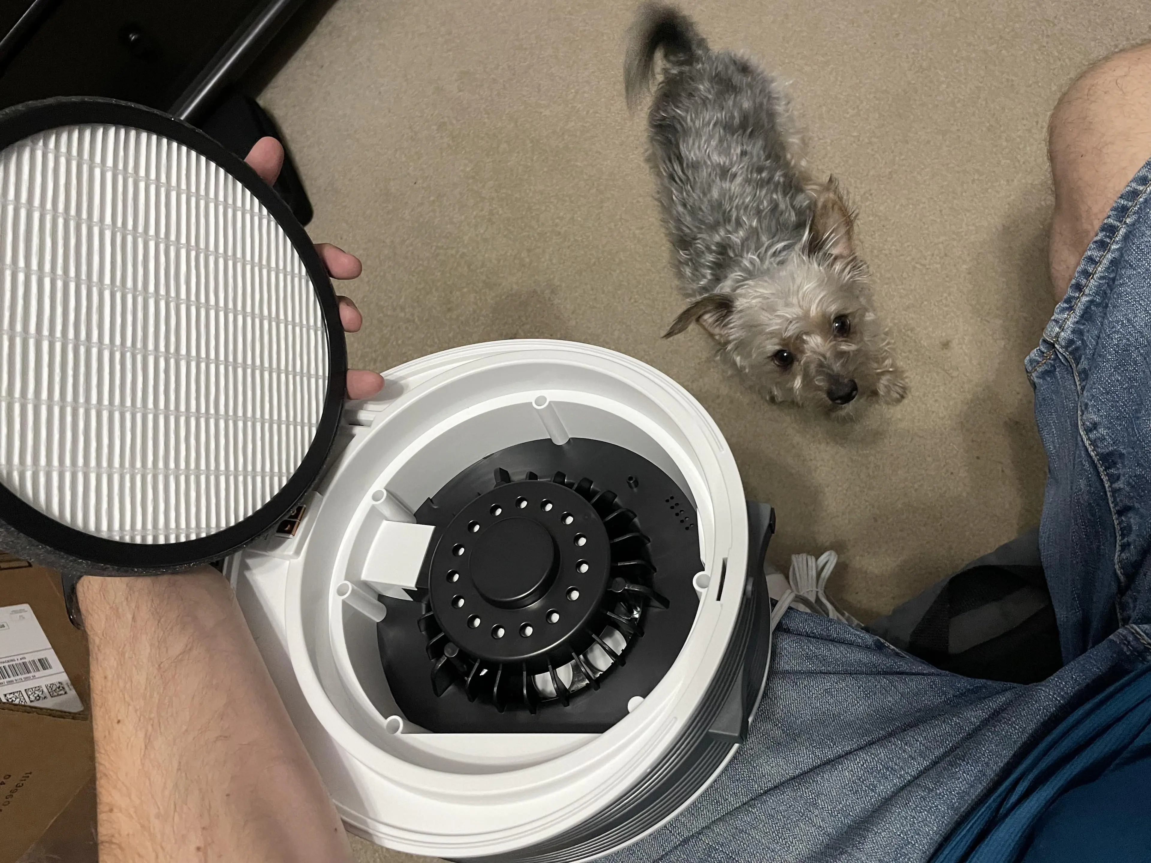 Customer provided image, click to load a larger version