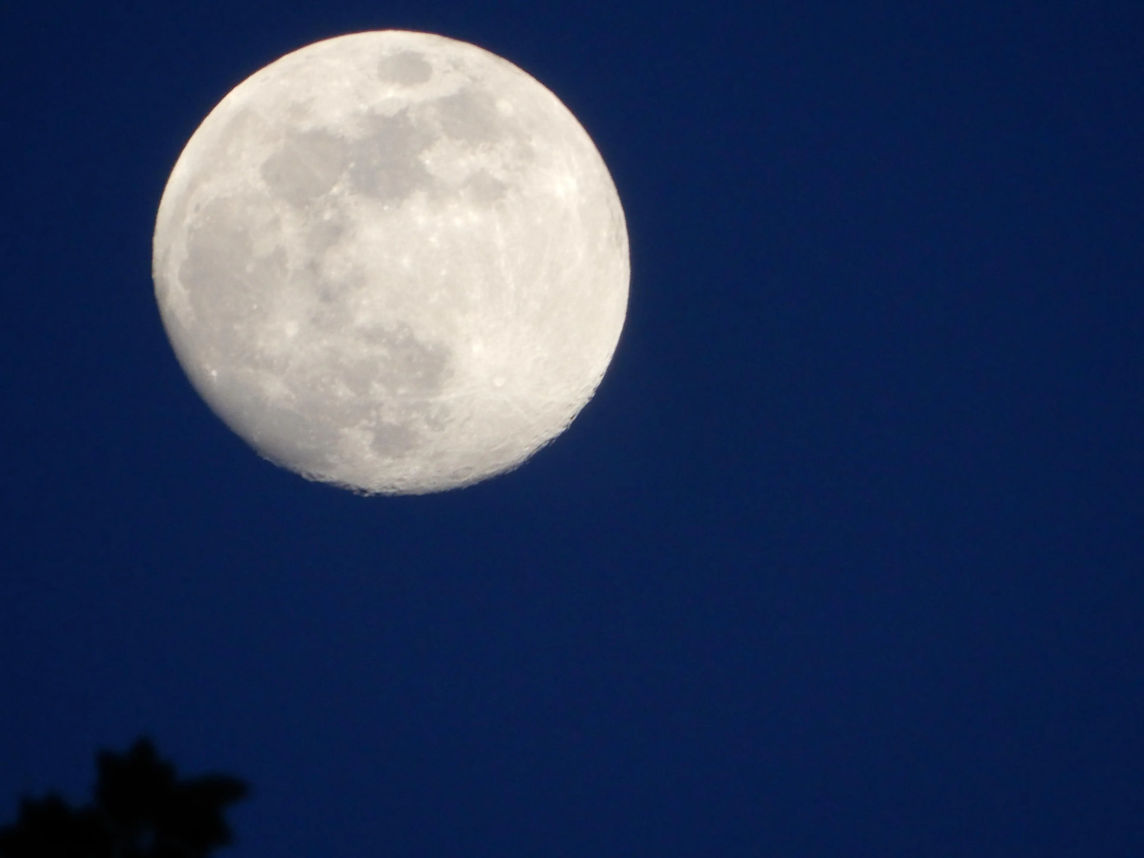 moon shot 2, click to load a larger version