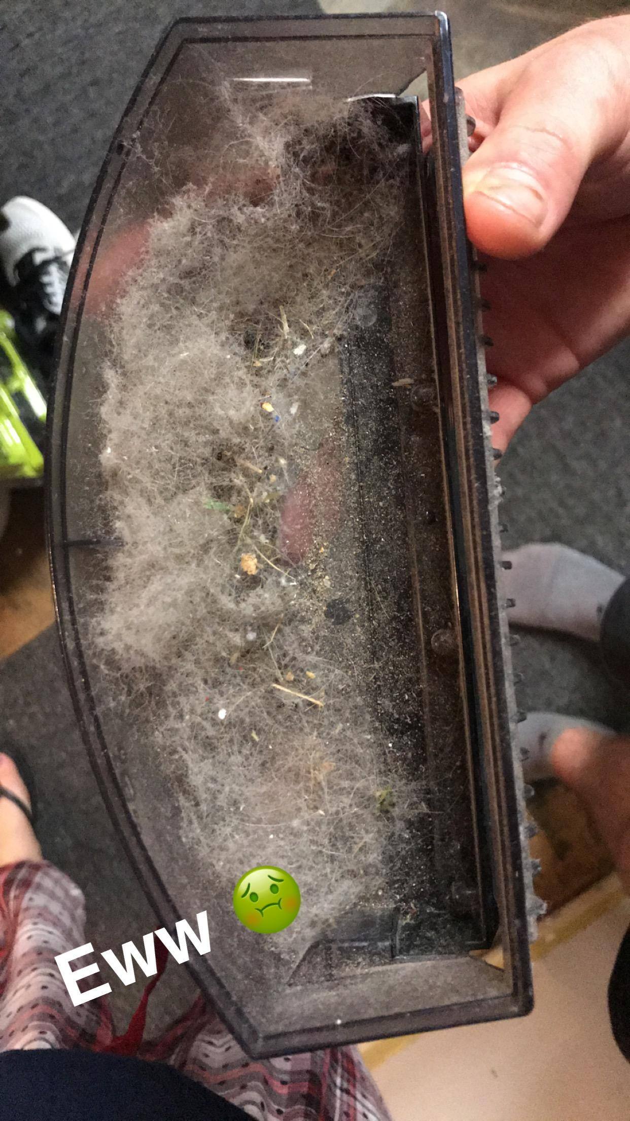 After her very first run!, click to load a larger version