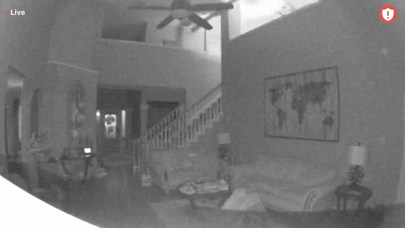 Live View - Low Light/Quality, click to load a larger version