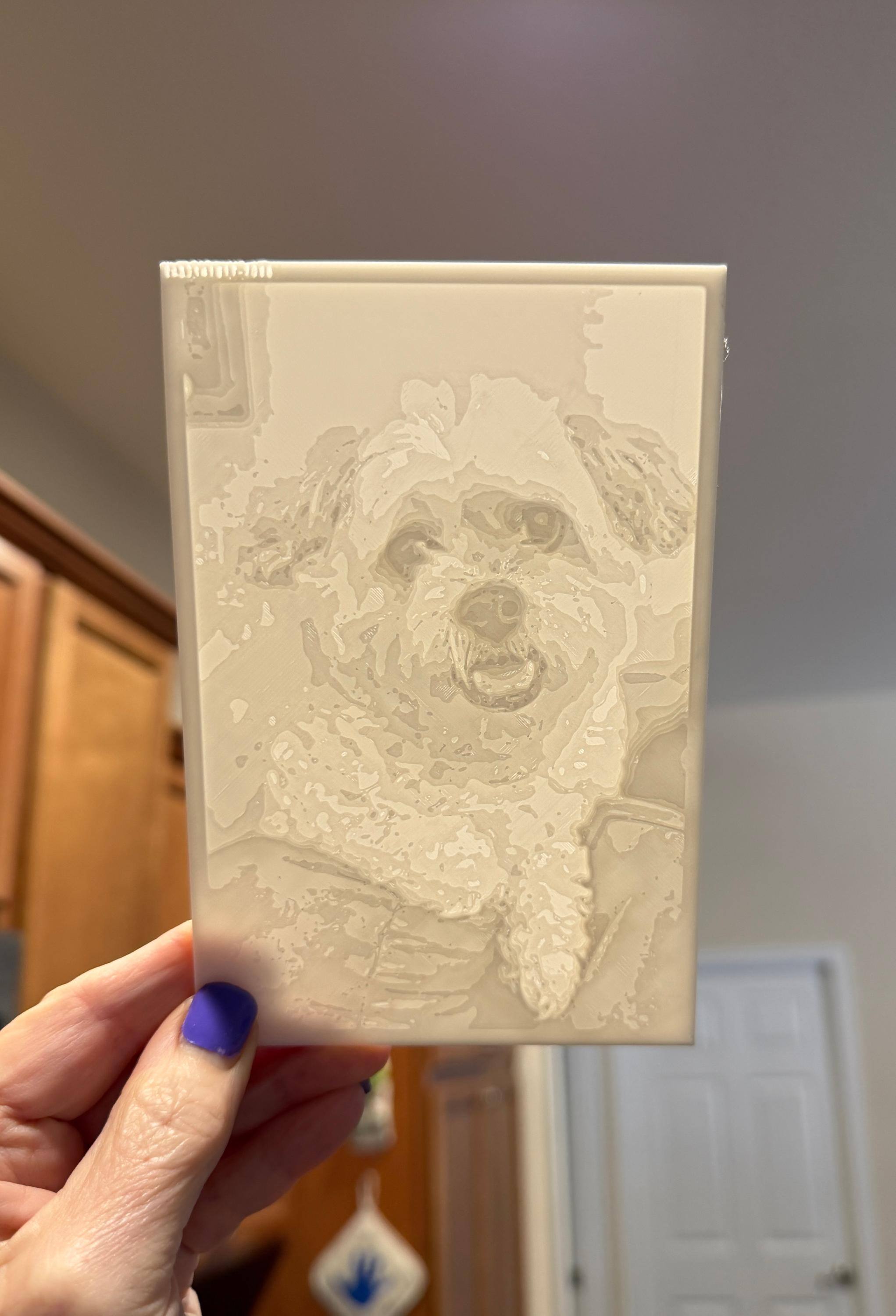 Customer provided image, click to load a larger version