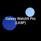 Samsung Galaxy Watch5 Pro Titanium Smartwatch 45mm BT Gray SM-R920NZTAXAA -  Best Buy