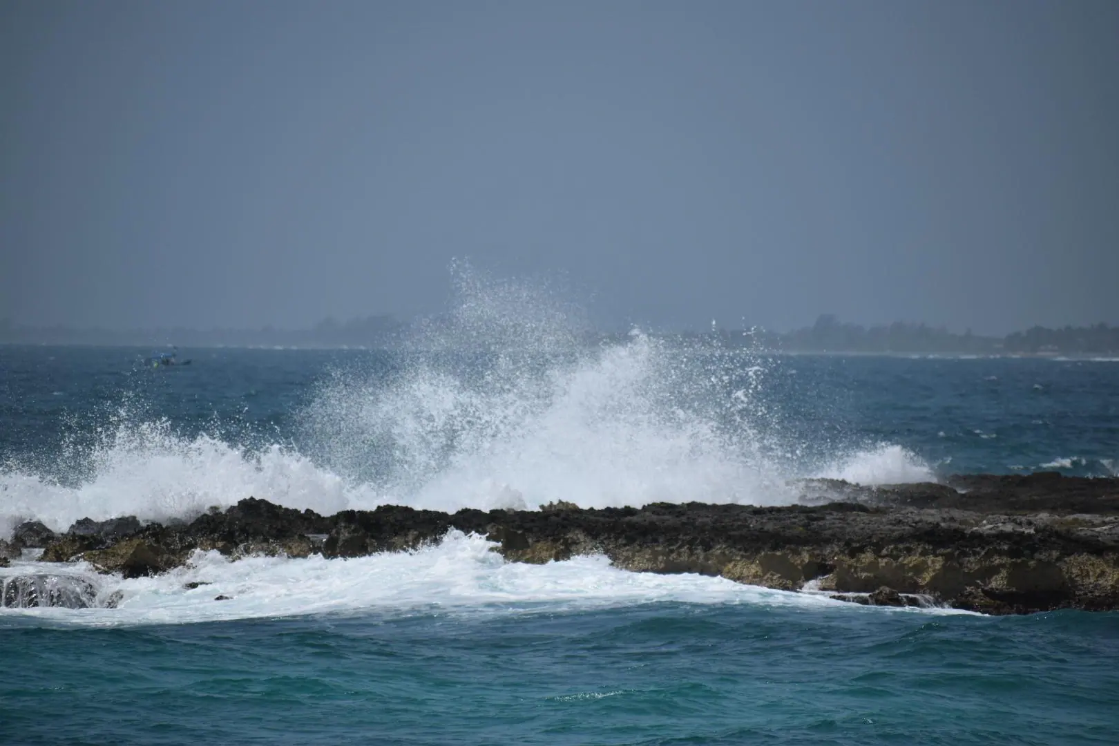 Loved it!, click to load a larger version