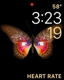 Awesome, click to load a larger version