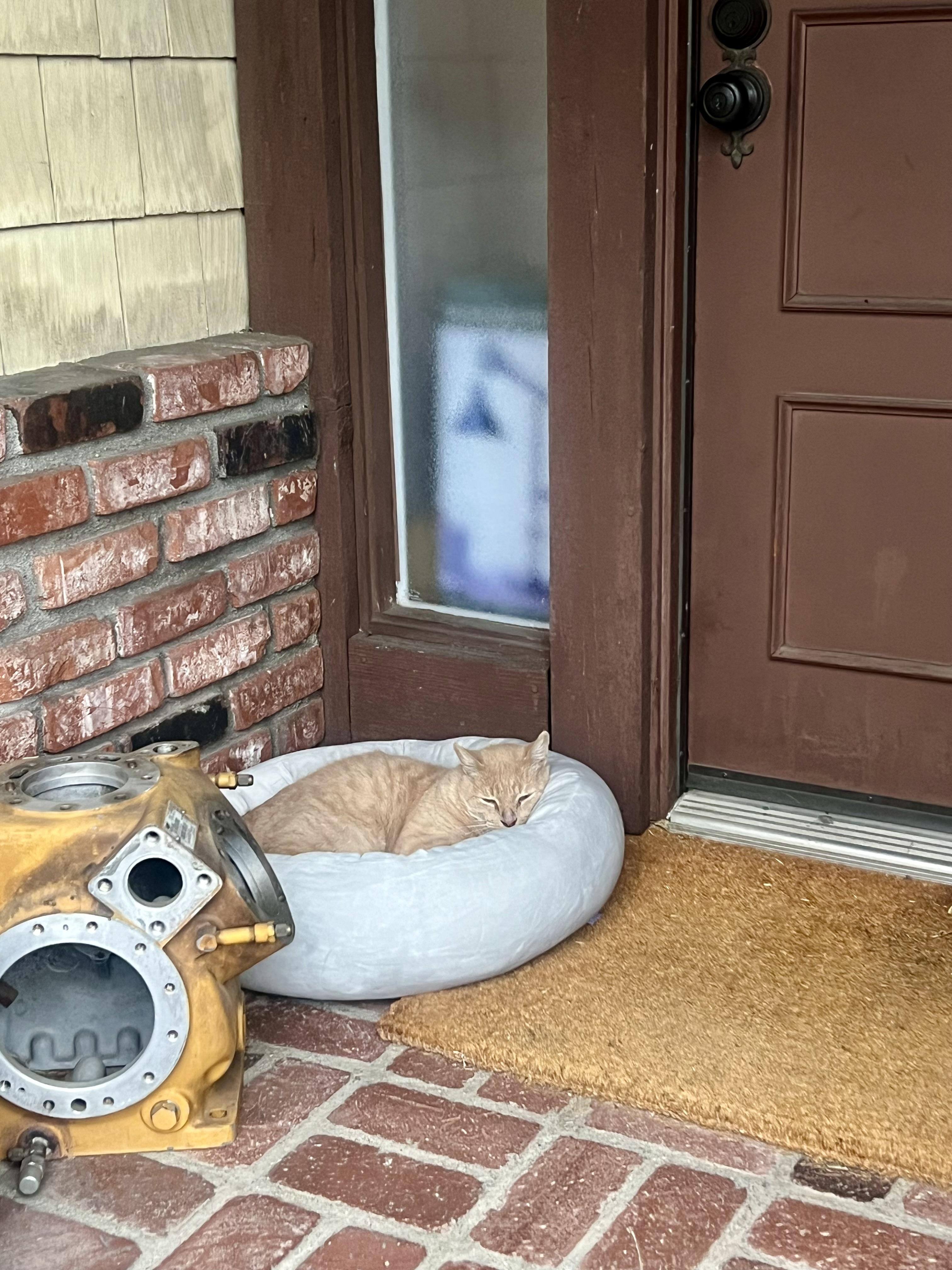 Customer provided image, click to load a larger version