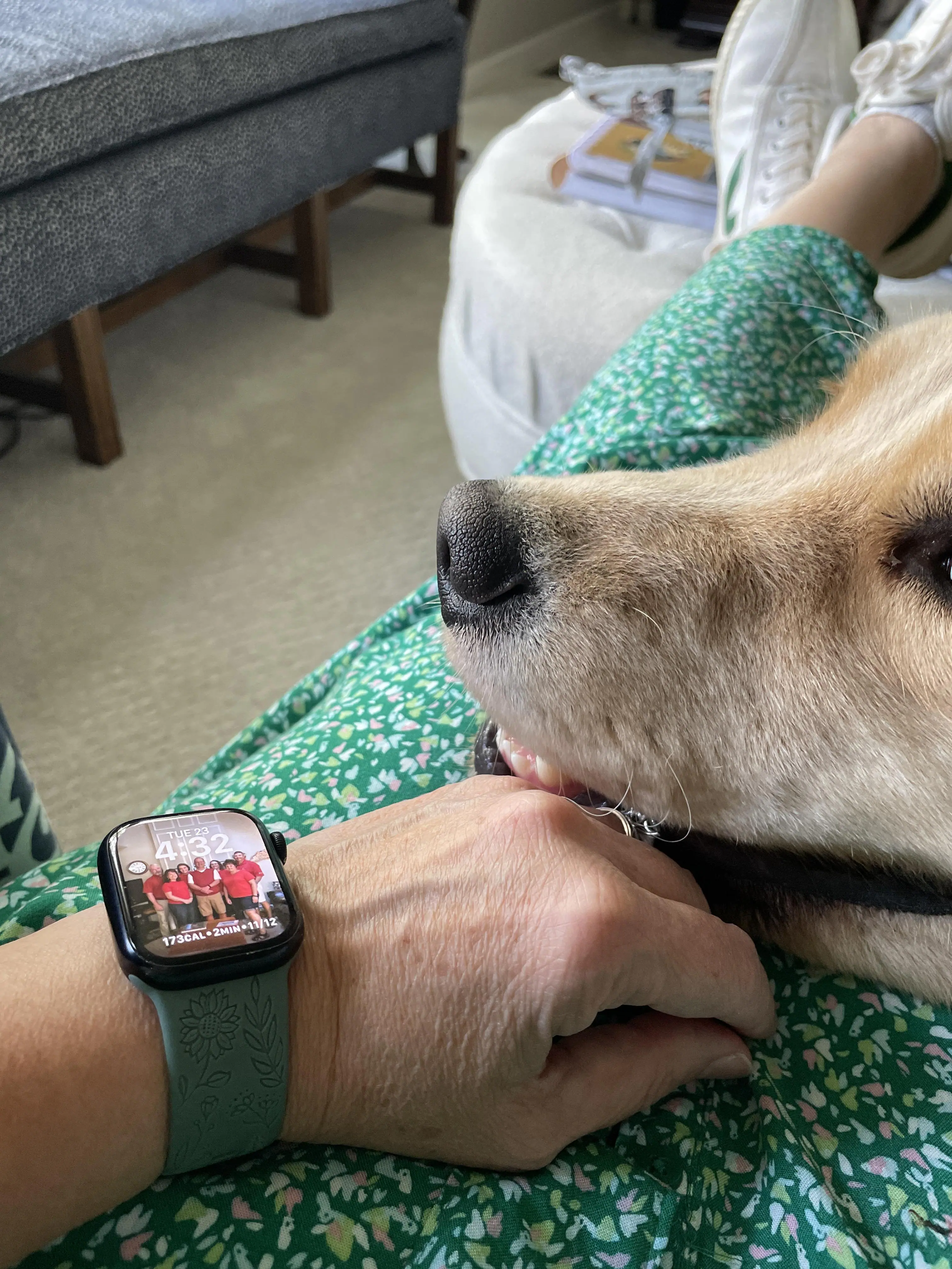 Customer provided image, click to load a larger version