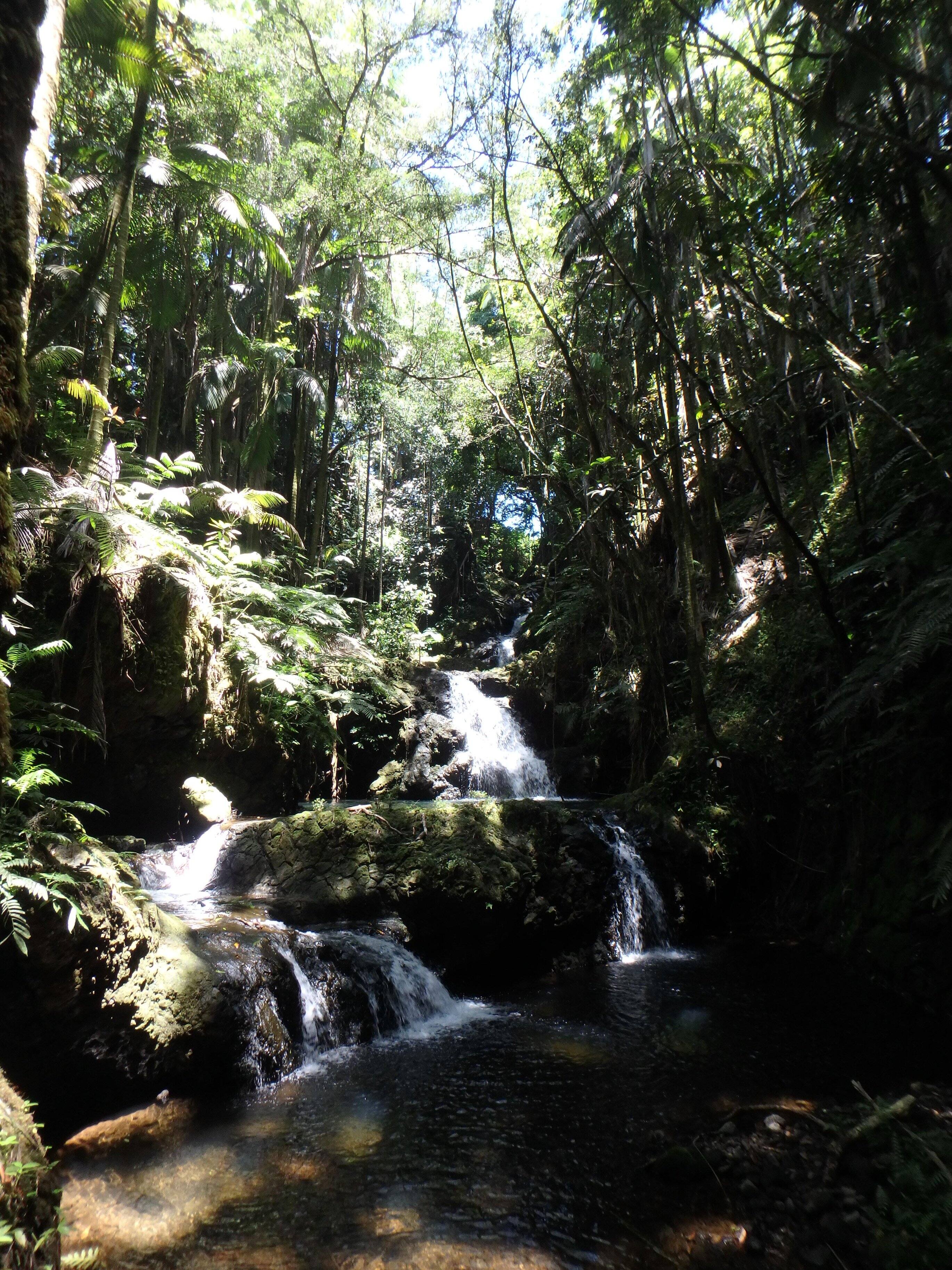 Botanical Garden, click to load a larger version