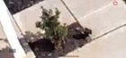 Zoomed in view, click to load a larger version