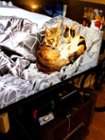Phone to TV, click to load a larger version