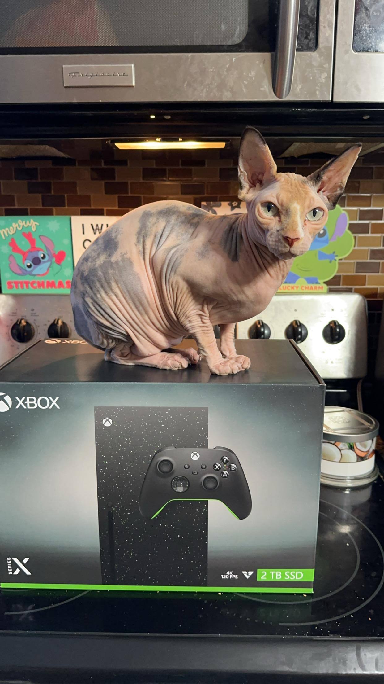 Customer provided, click to load a larger version