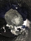 White portion in the middle of the picture is completely dry, click to load a larger version