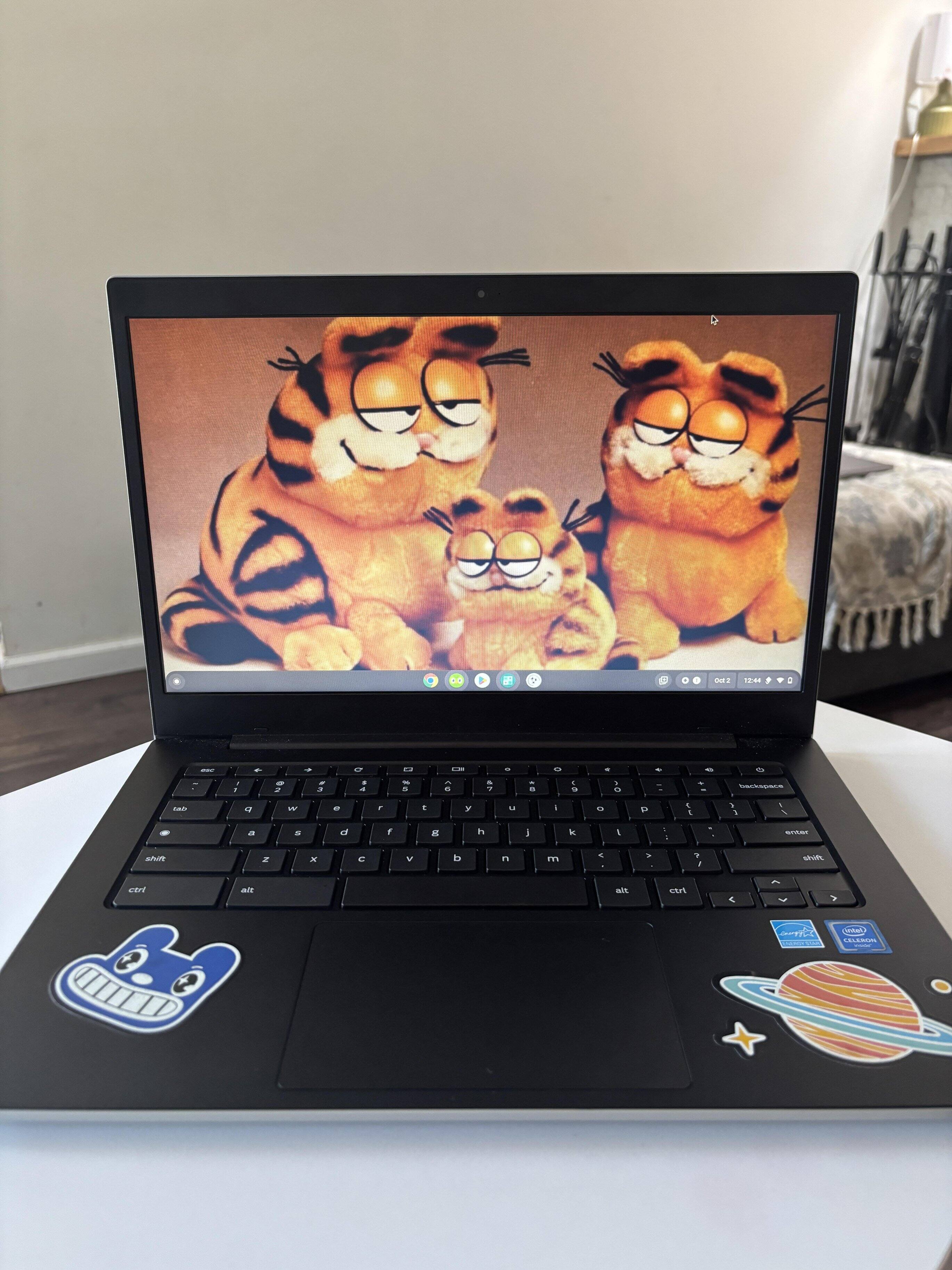 Customer provided image, click to load a larger version