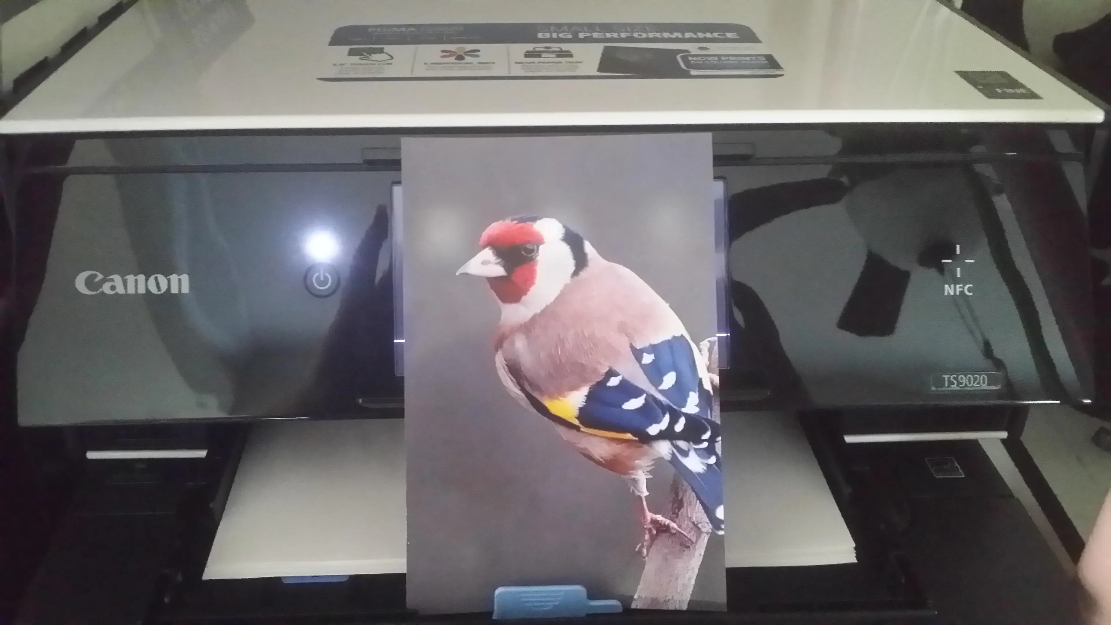 Customer provided image, click to load a larger version