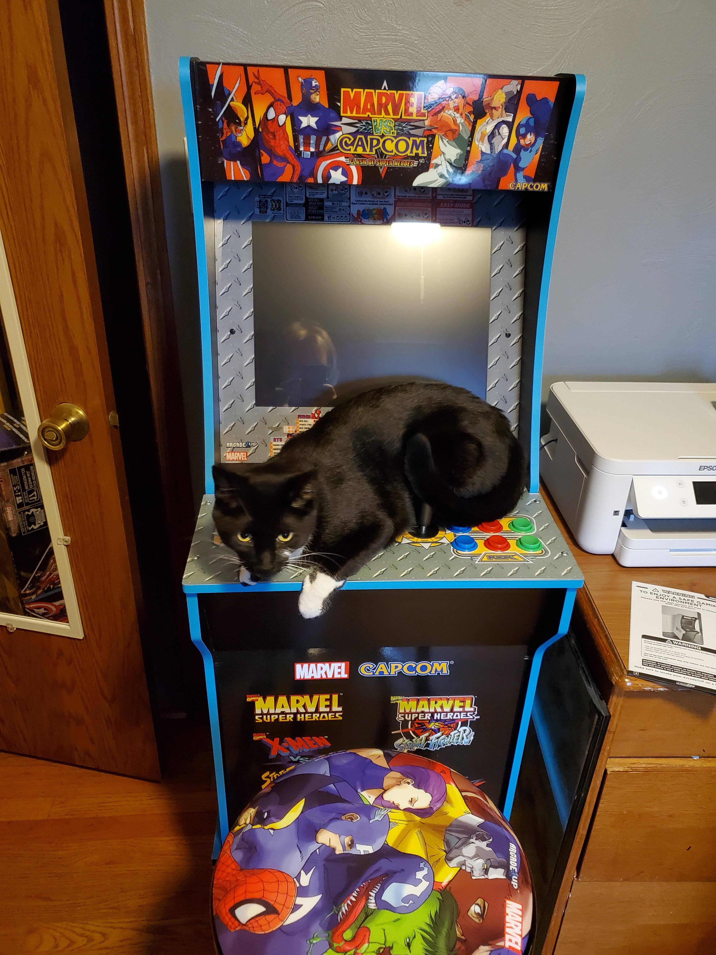 Customer provided image, click to load a larger version