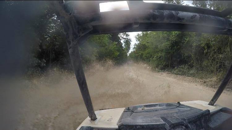 Captured this awesome photo while using the head strap., click to load a larger version