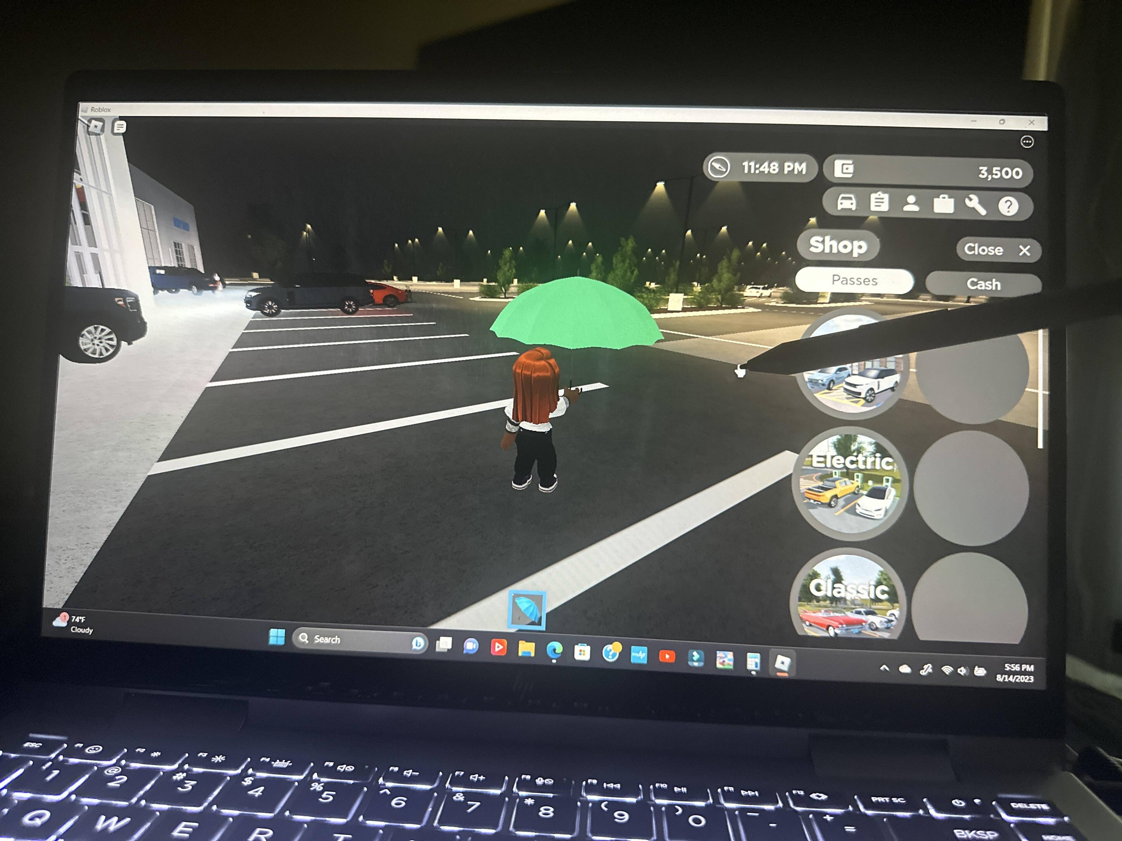 Customer provided, click to load a larger version