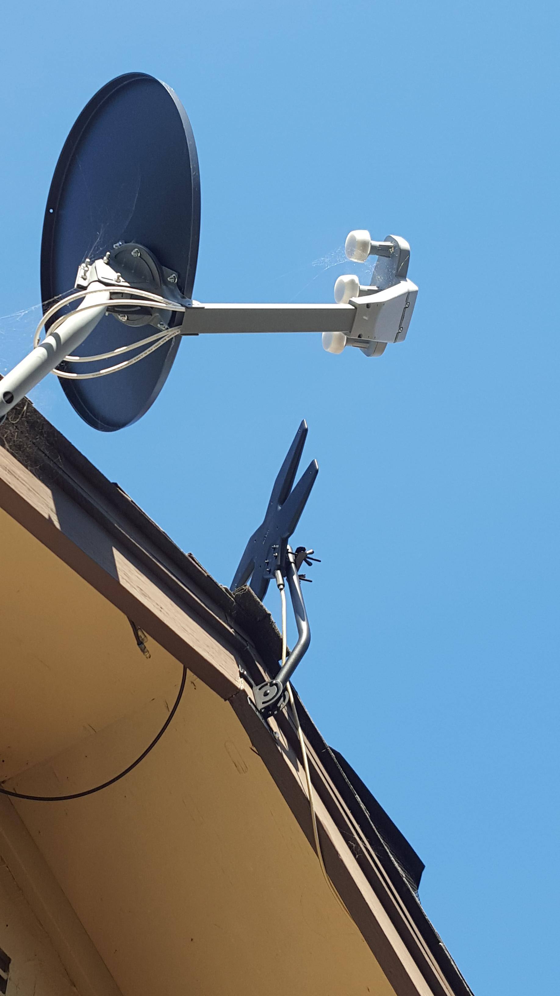 Tiny, next to old Dish.... ha. Good bye!, click to load a larger version