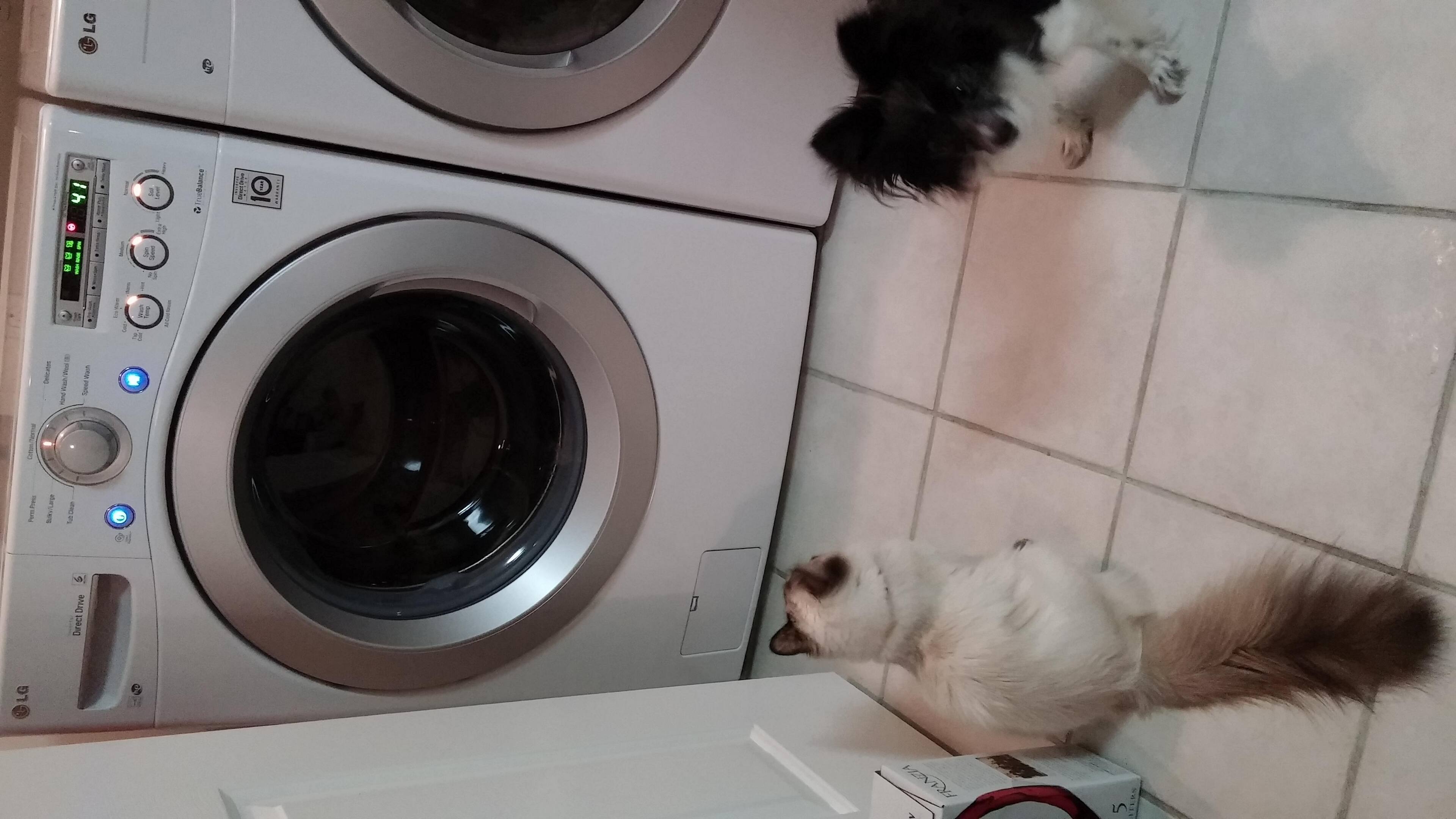 Something new in the house!, click to load a larger version