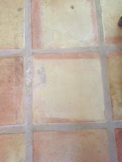 After Steaming, click to load a larger version