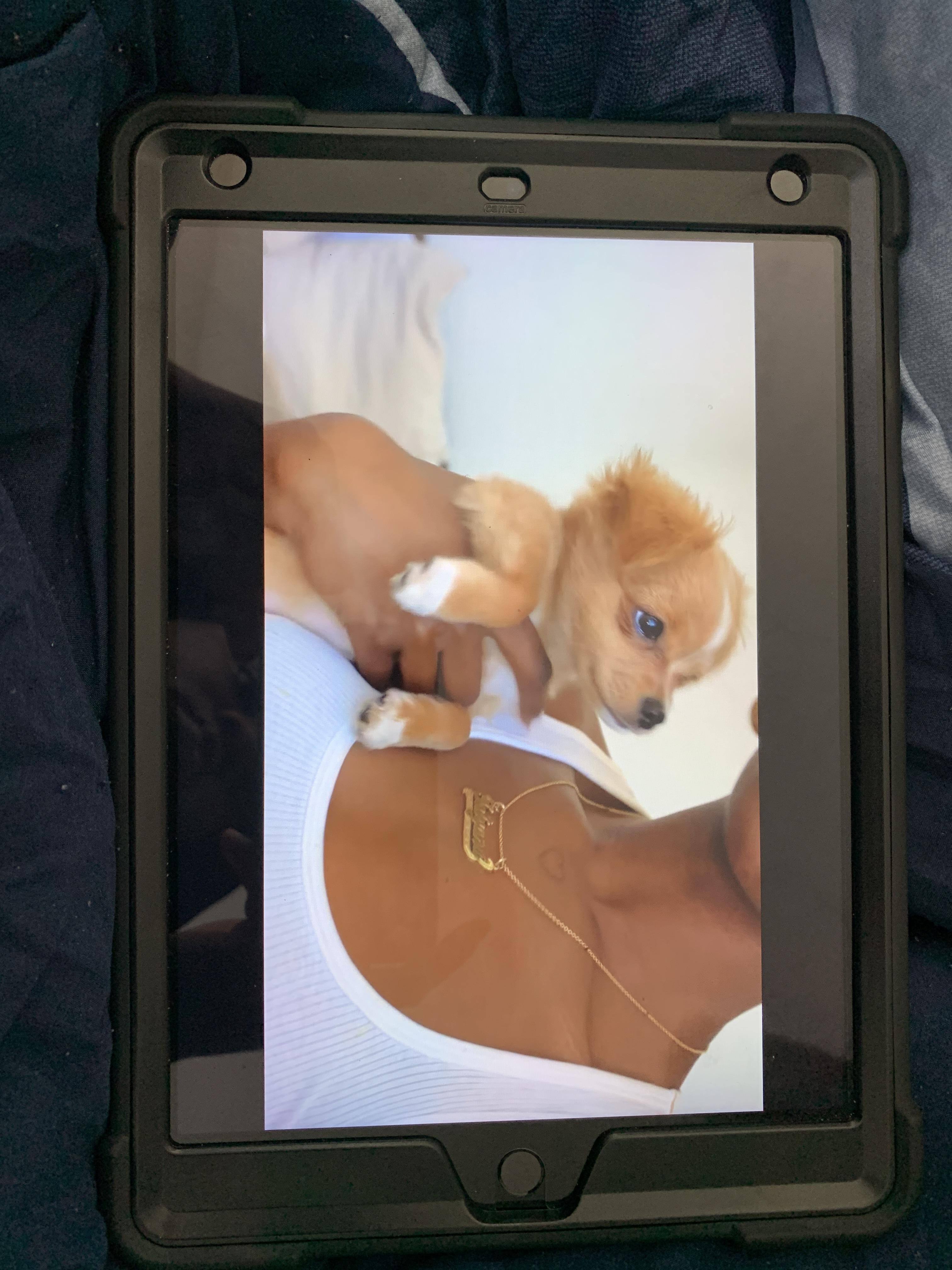 Customer provided, click to load a larger version