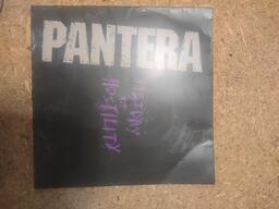 【新品未開封品】PANTERA / History Of Hostility PANTERA “History Of Hostility” /LP/