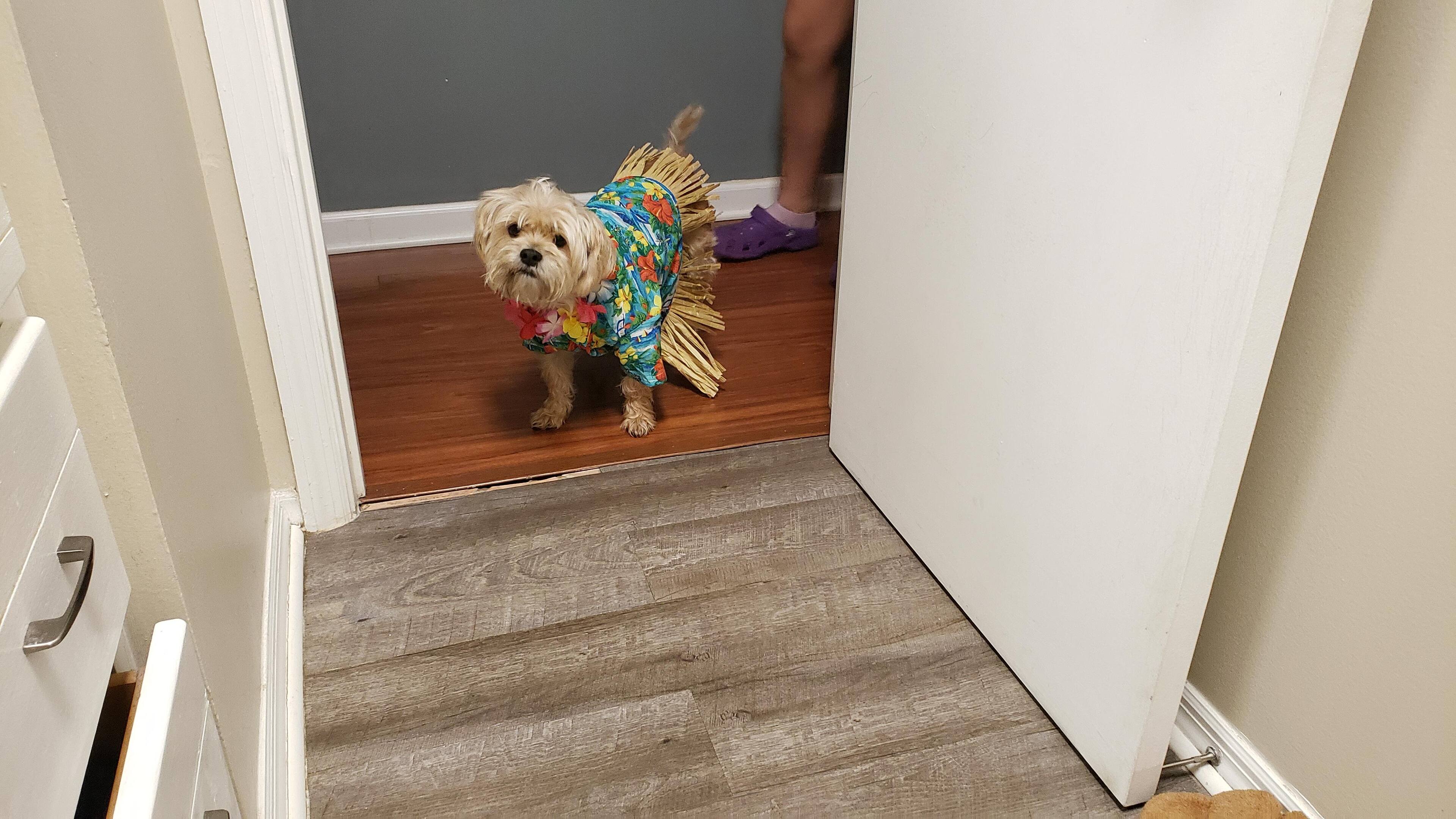 original pic of Walter, click to load a larger version