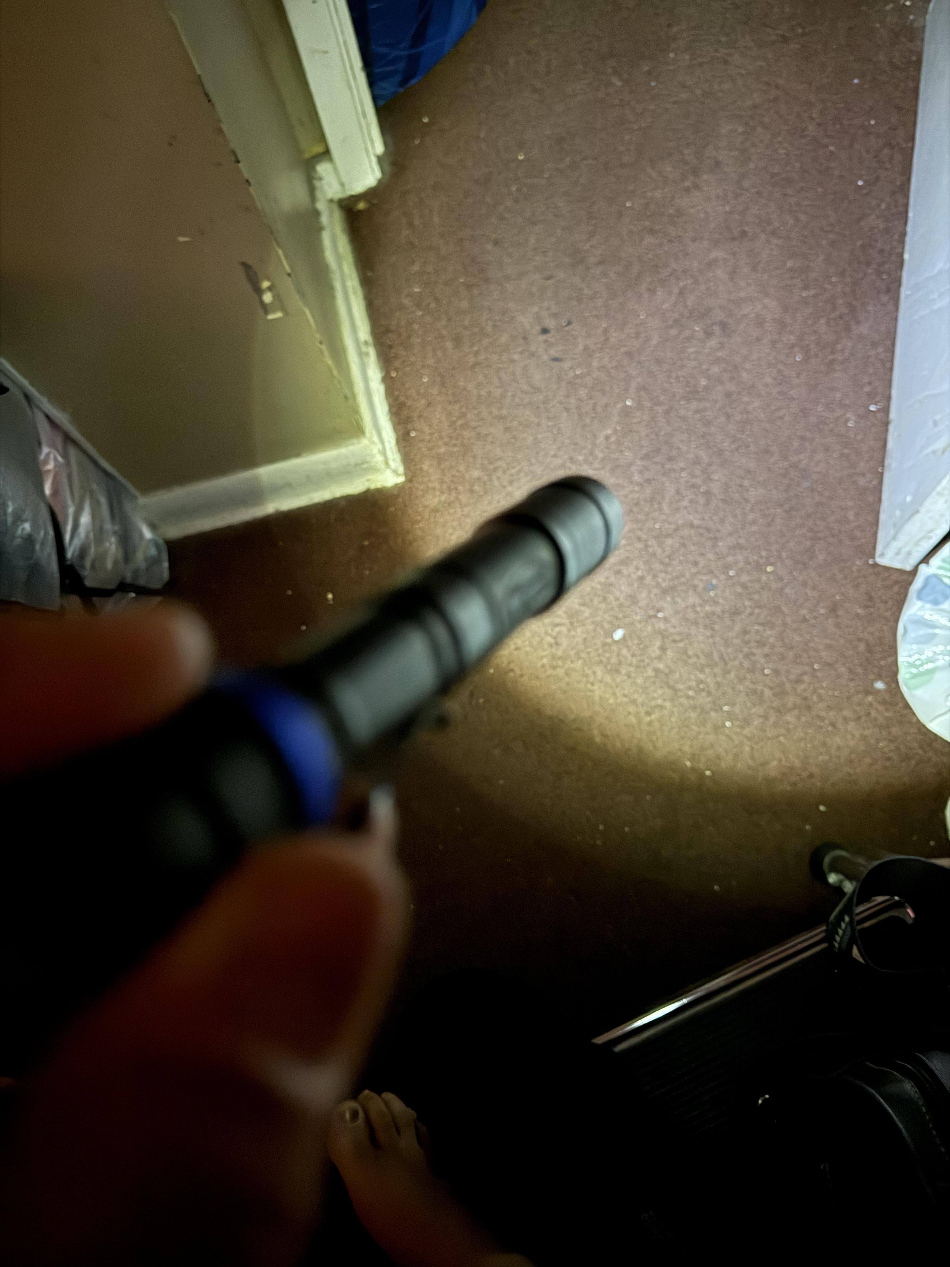 Customer provided image, click to load a larger version