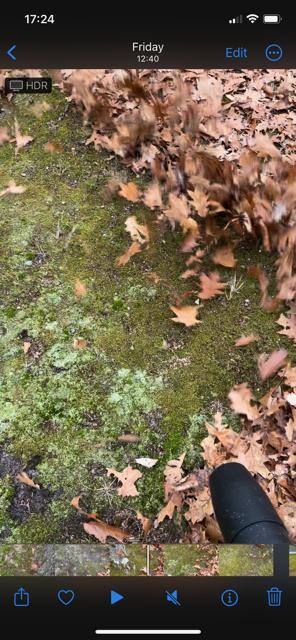 Video Image 2, click to load a larger version