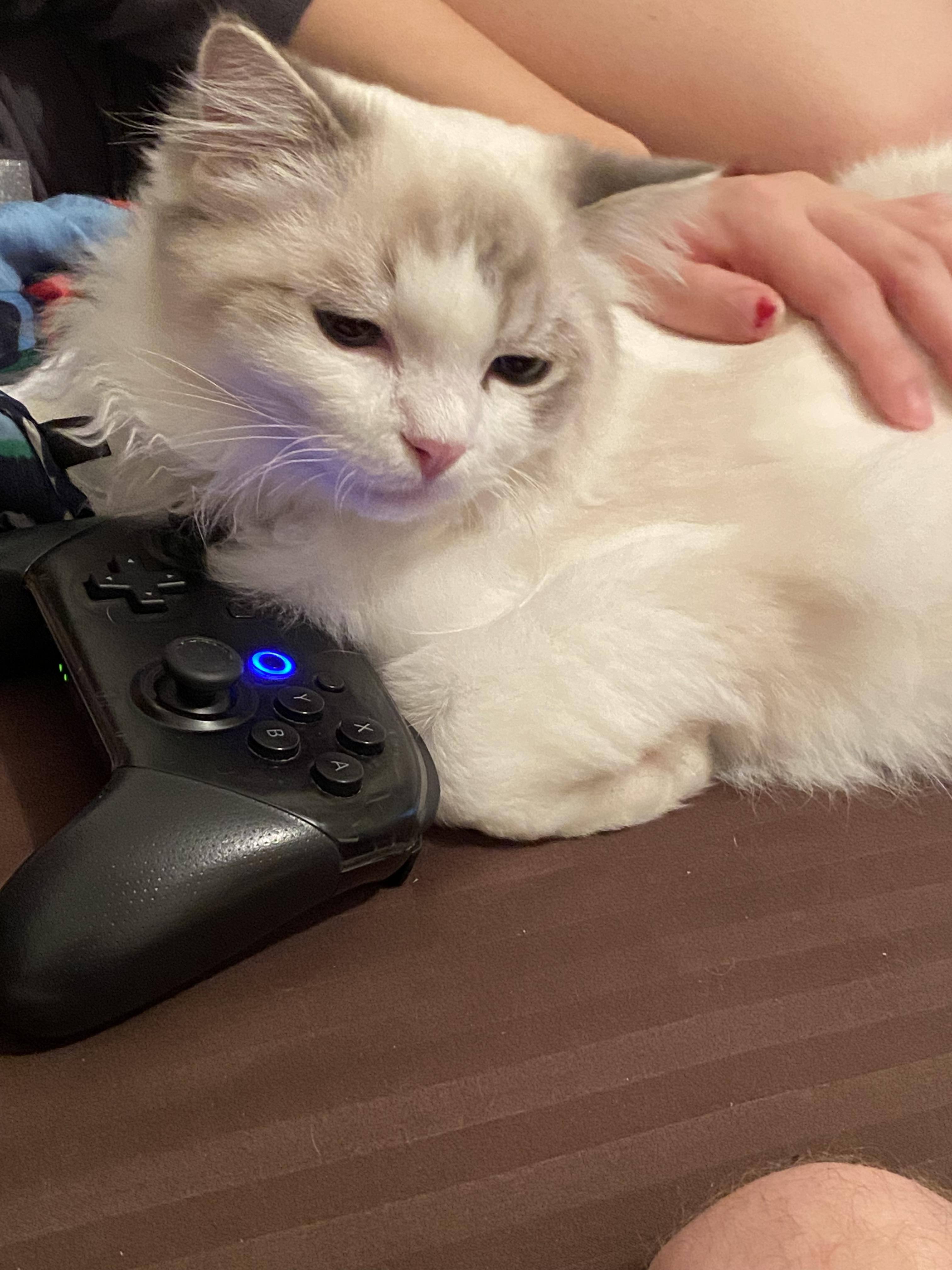 Customer provided, click to load a larger version