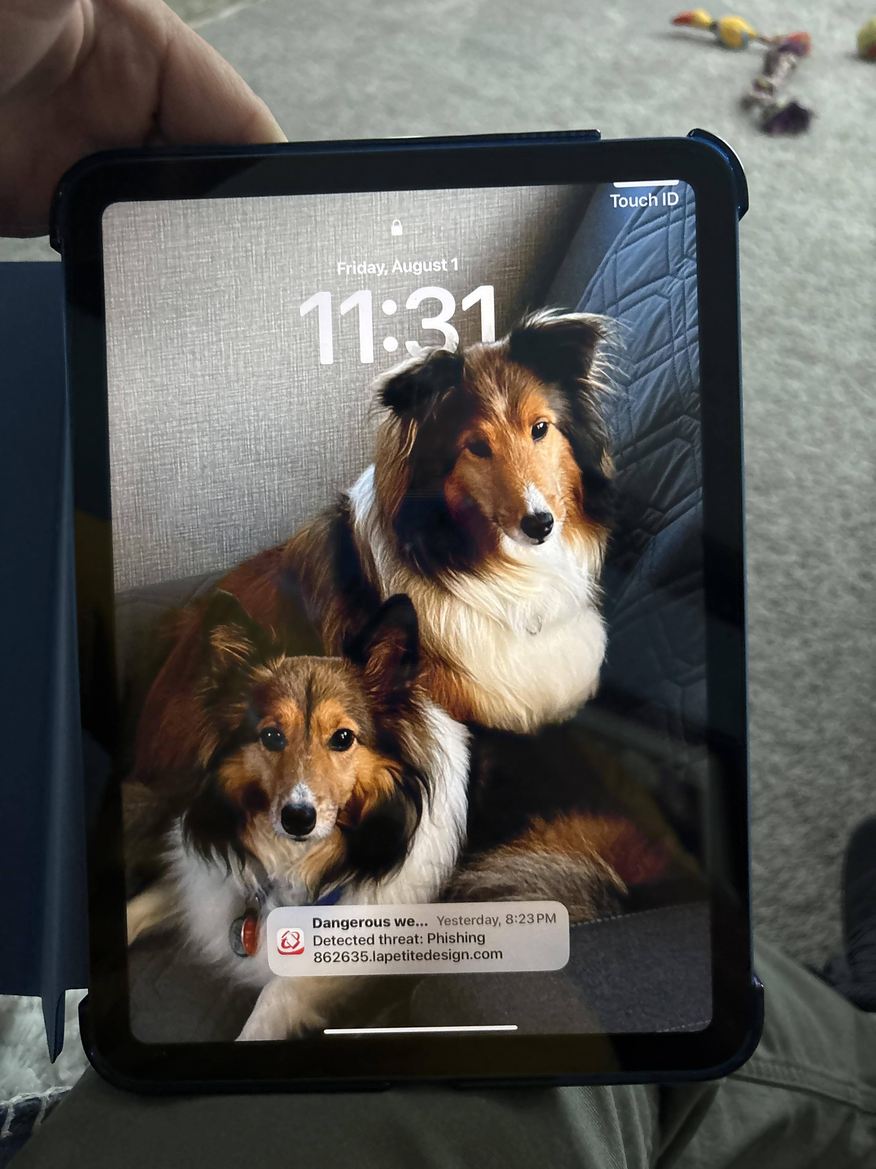 Customer provided, click to load a larger version