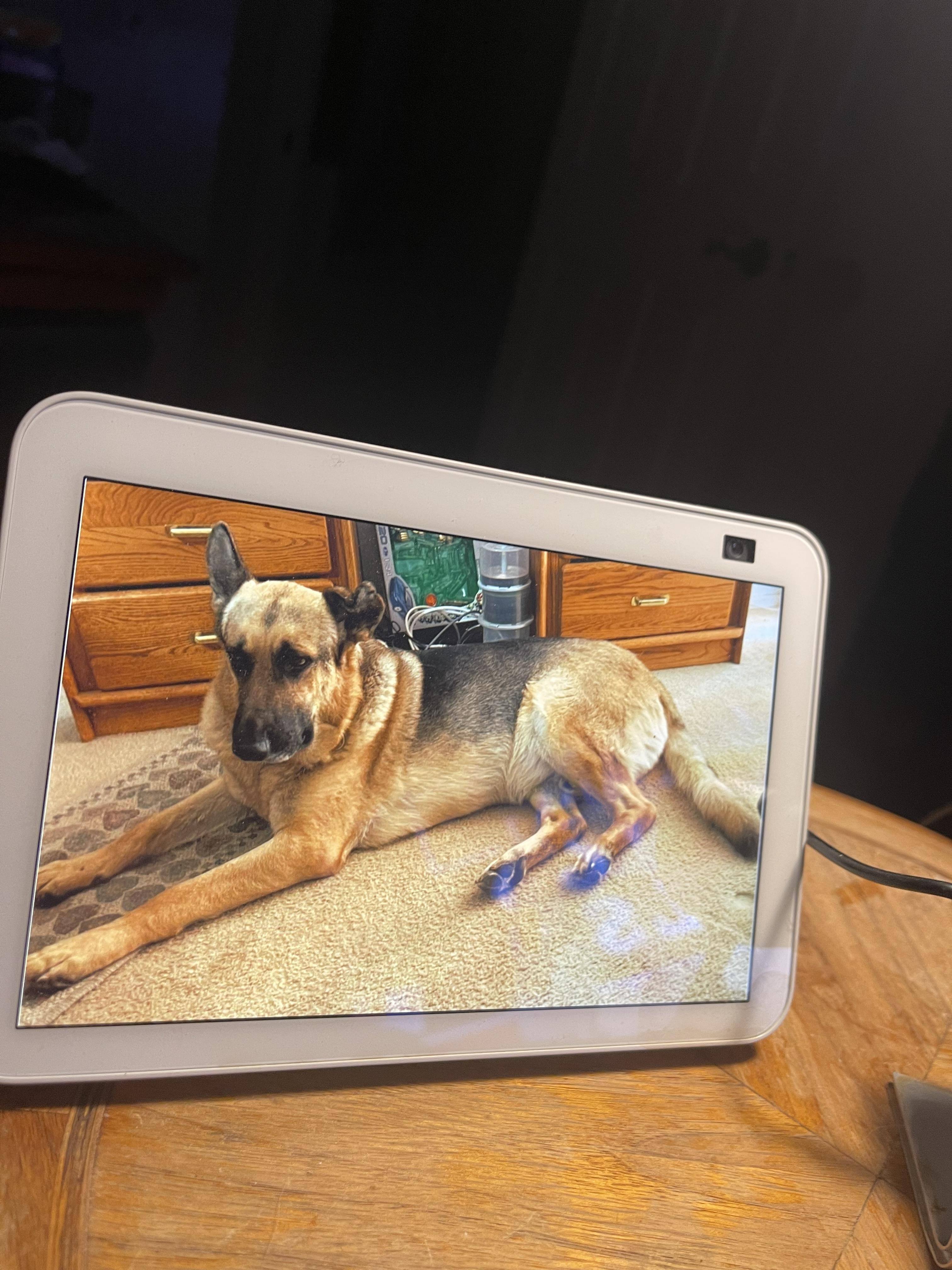 Customer provided, click to load a larger version