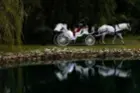 "Wedding Reflections", click to load a larger version