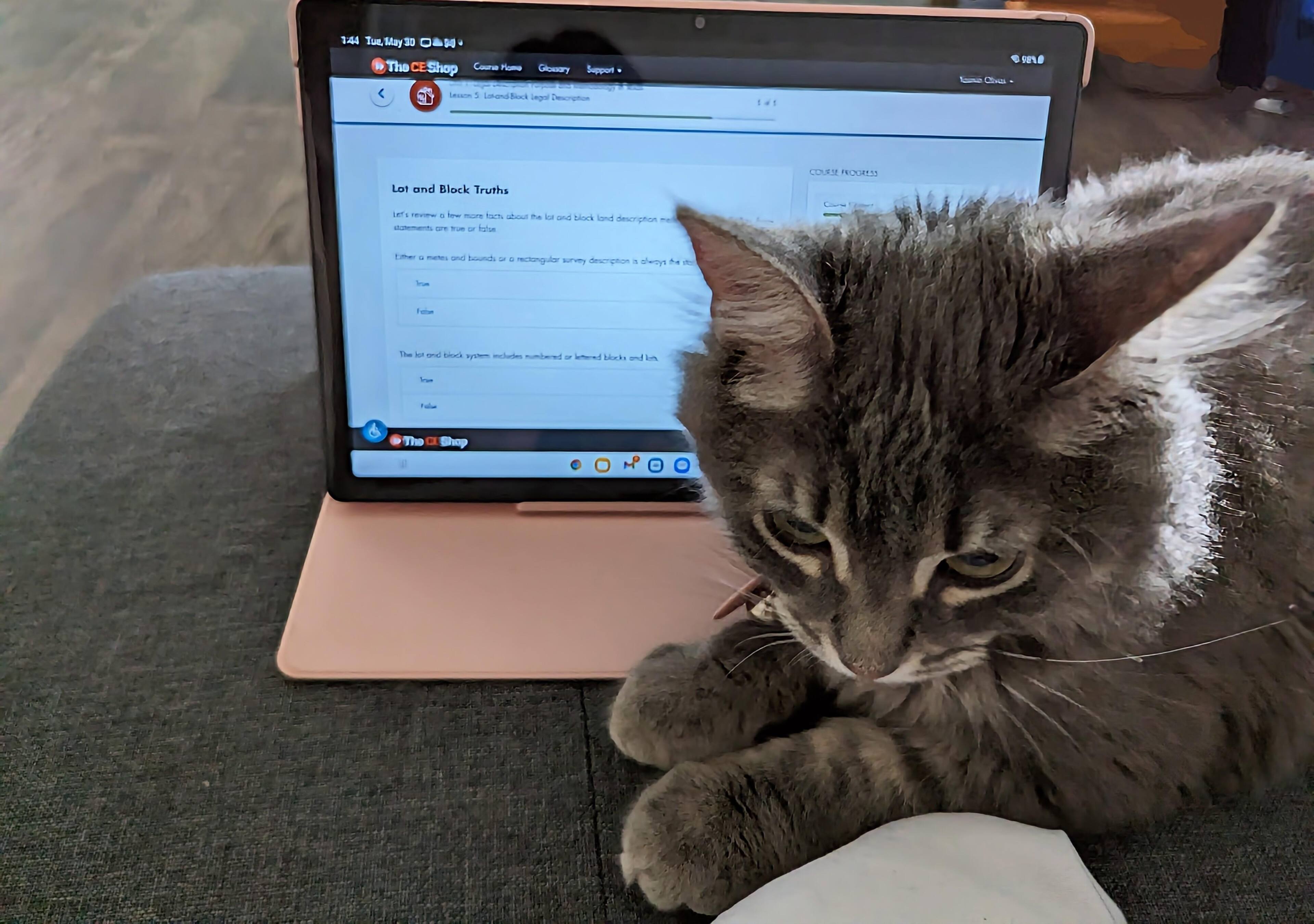 Customer provided, click to load a larger version