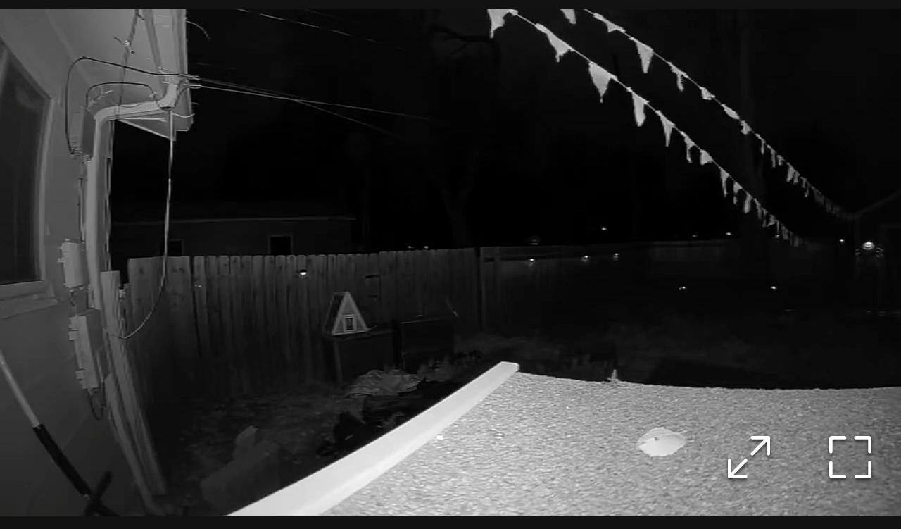 New camera in middle of night, click to load a larger version