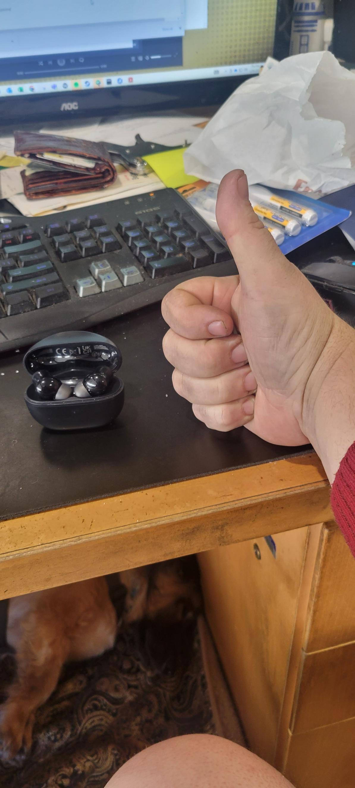 Customer provided, click to load a larger version