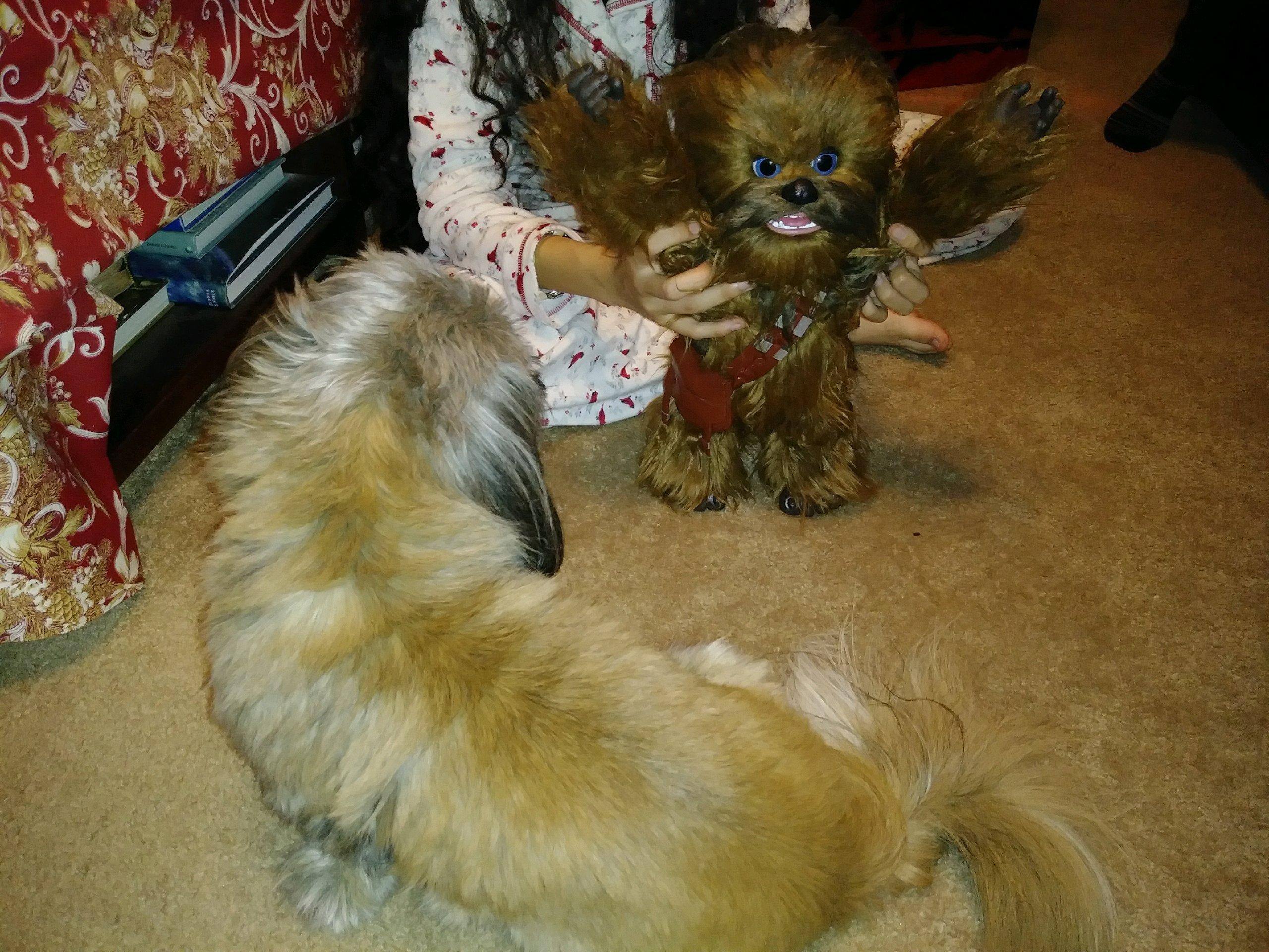 Dog’s best friend?, click to load a larger version