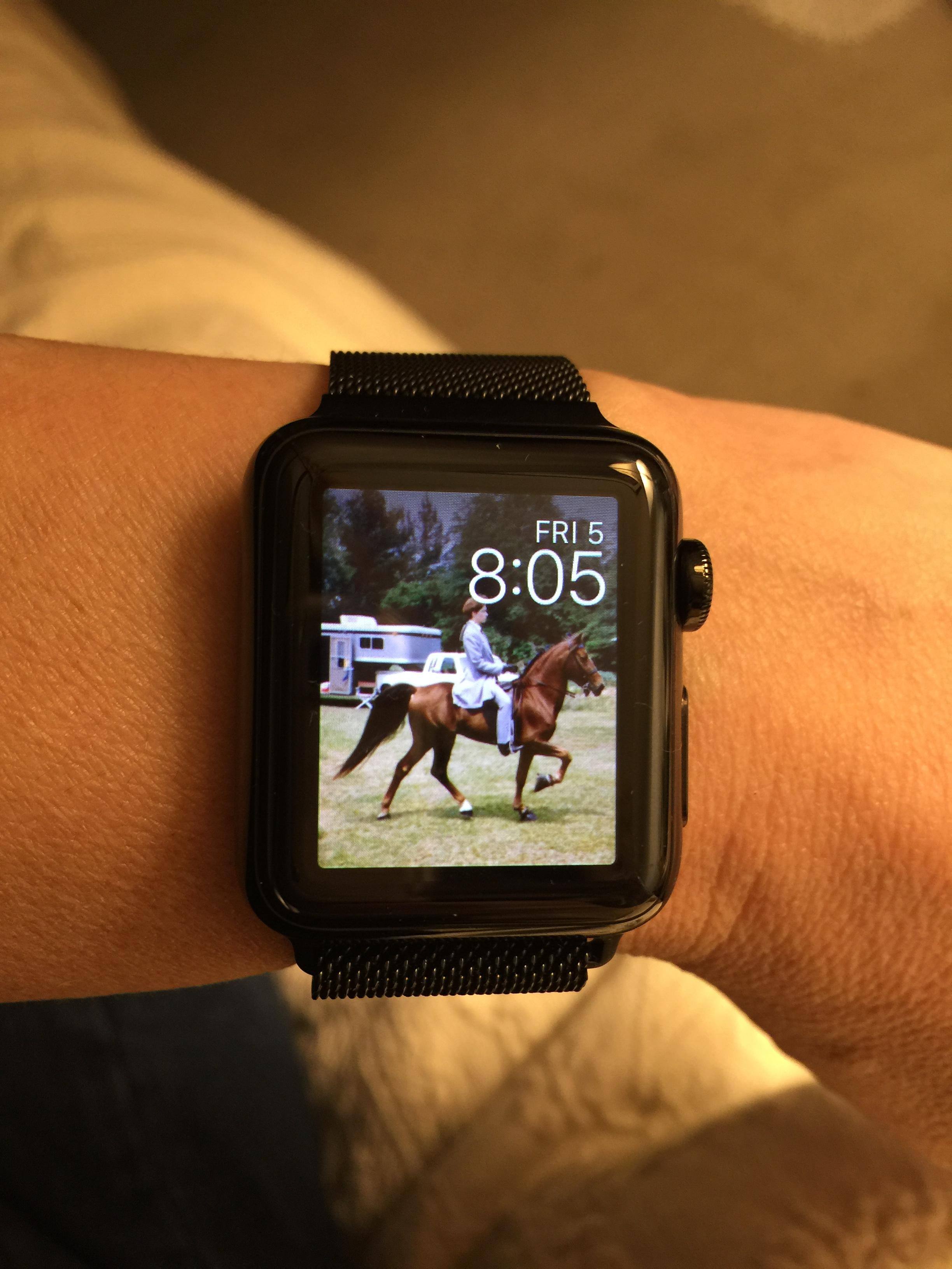 My horse!, click to load a larger version