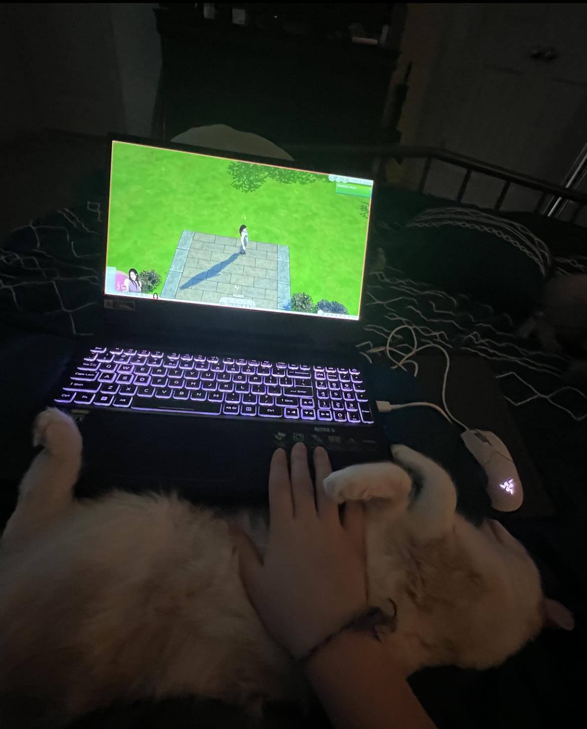 Customer provided image, click to load a larger version