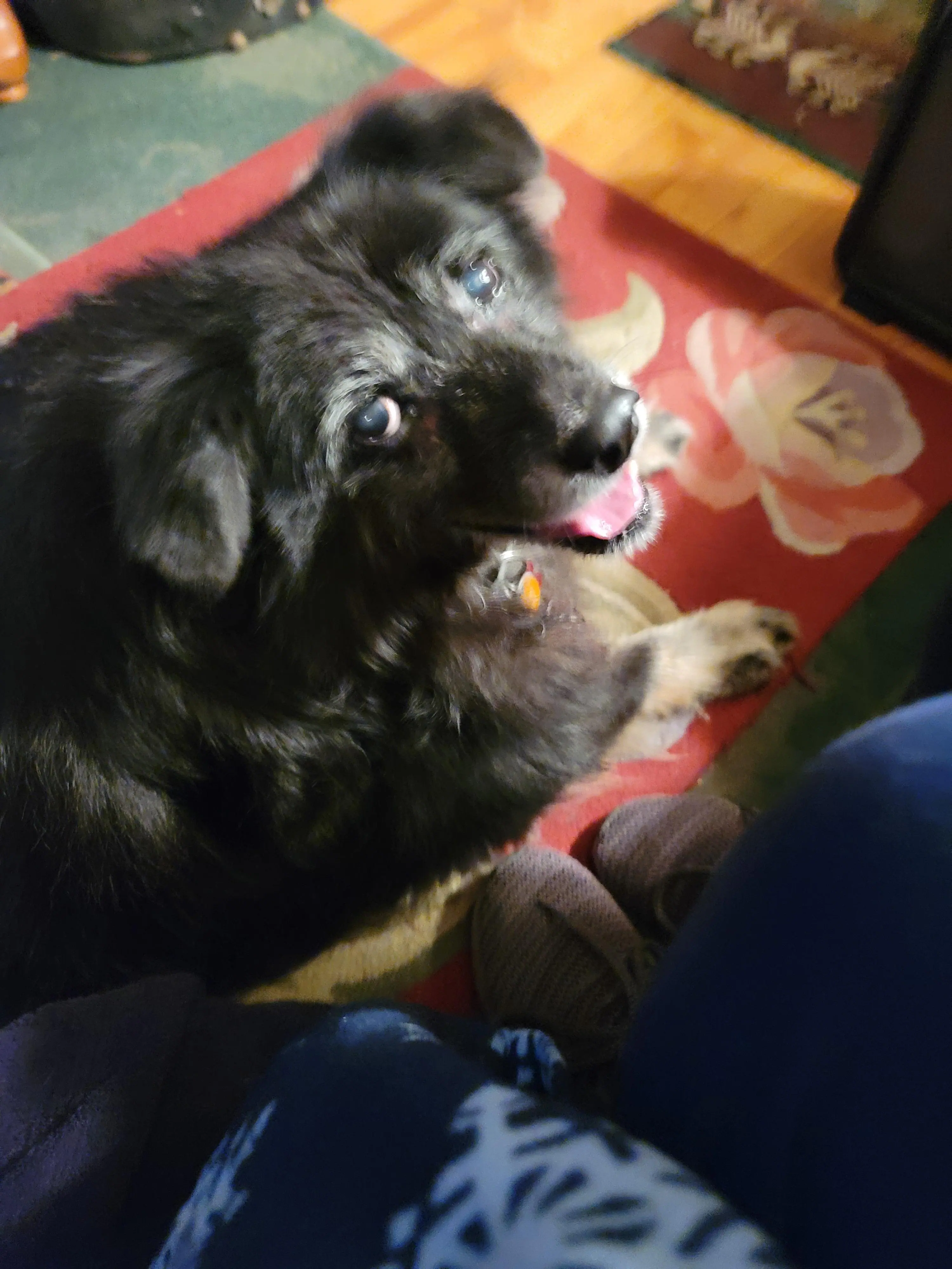 Customer provided, click to load a larger version