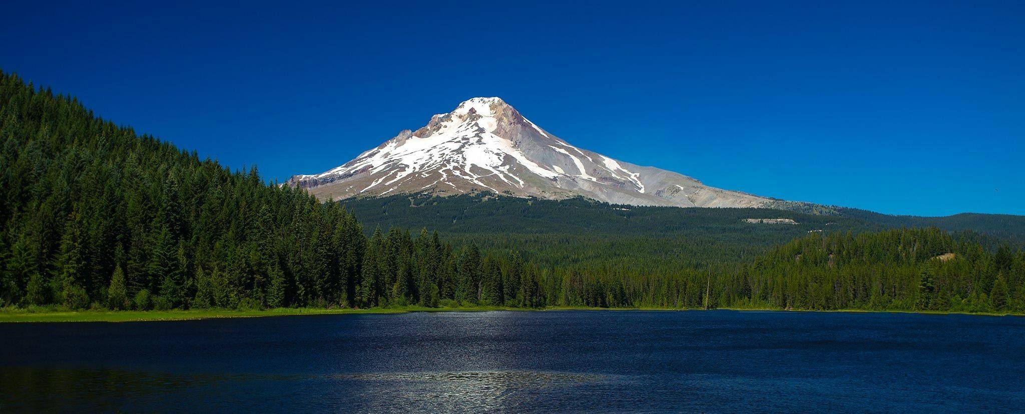 Photo by: Kevin House, click to load a larger version