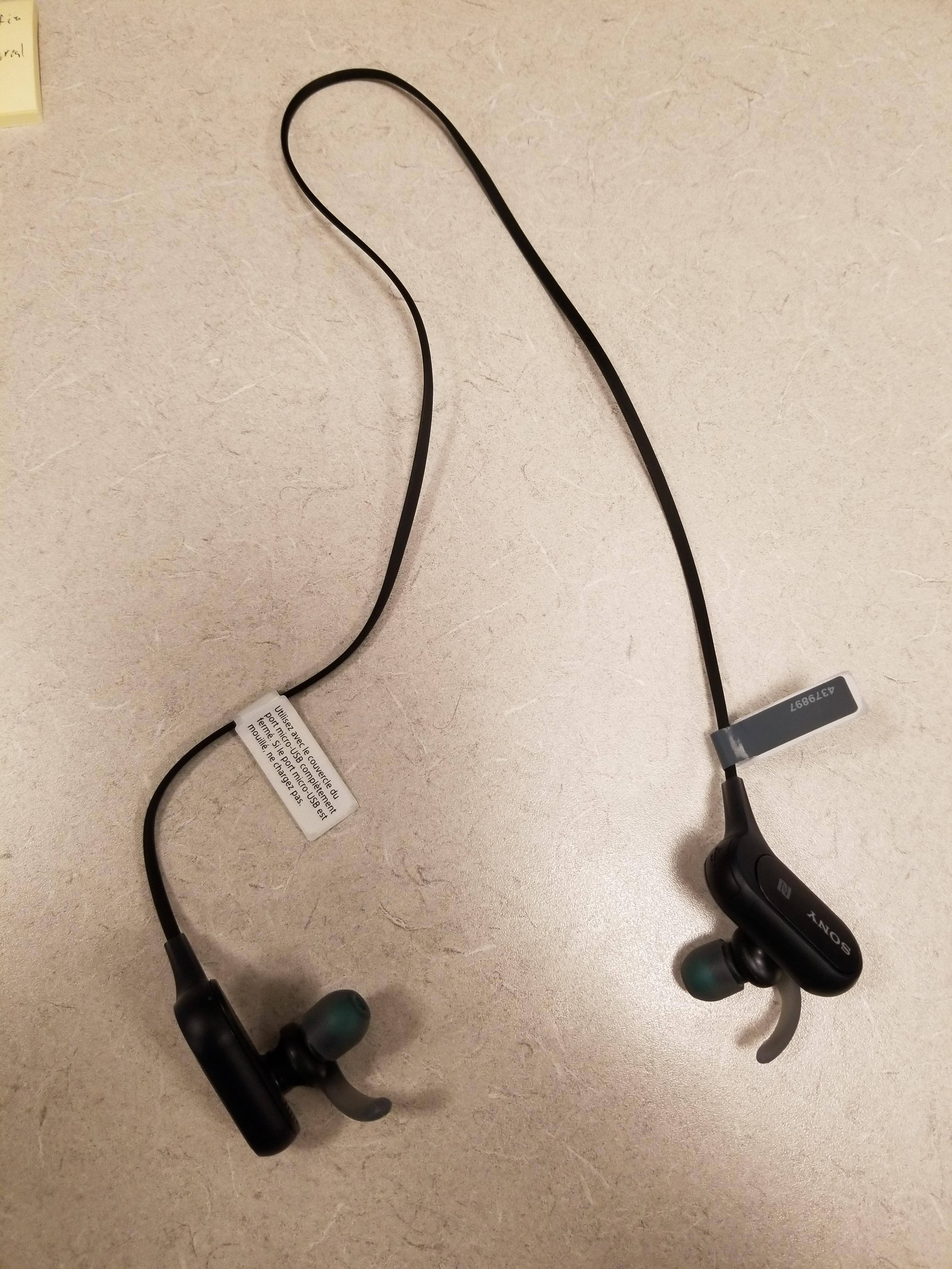 Sony Wireless Headphones, click to load a larger version