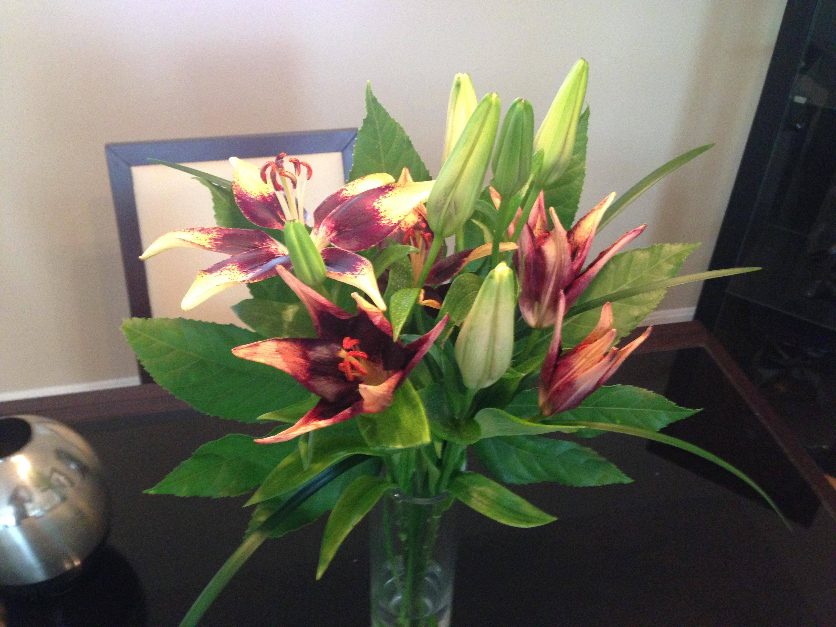 A pic taken, click to load a larger version