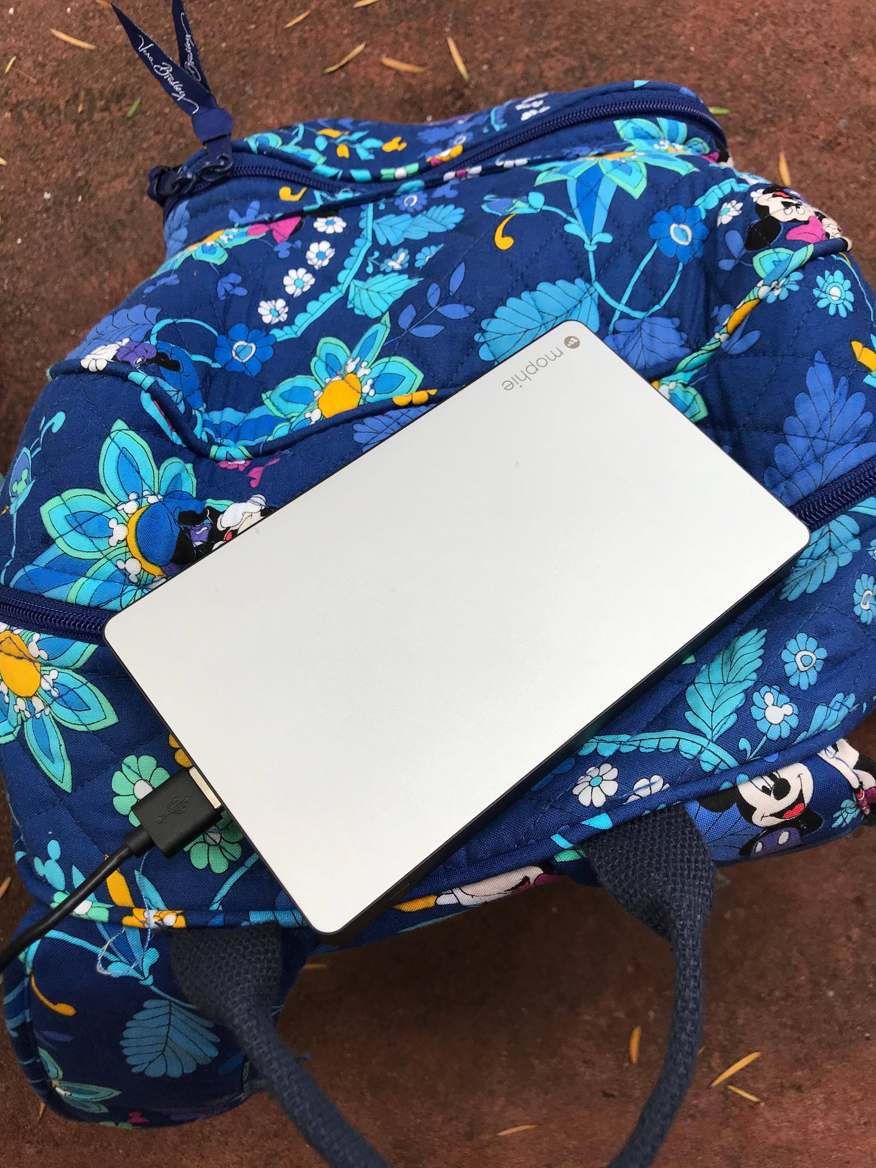 Must have for Disney, click to load a larger version