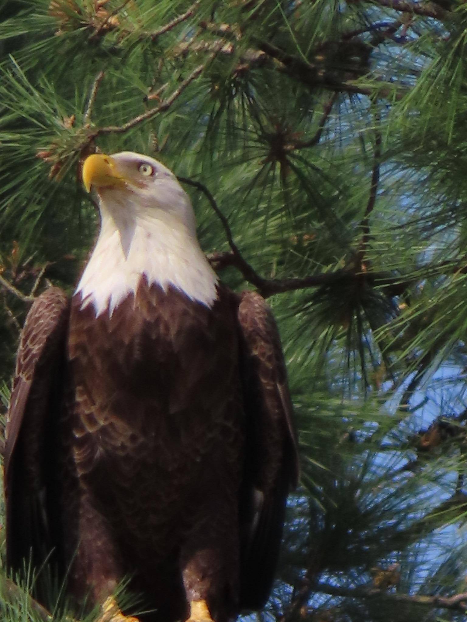 Wrapped the tripod around the car window frame for this shot., click to load a larger version