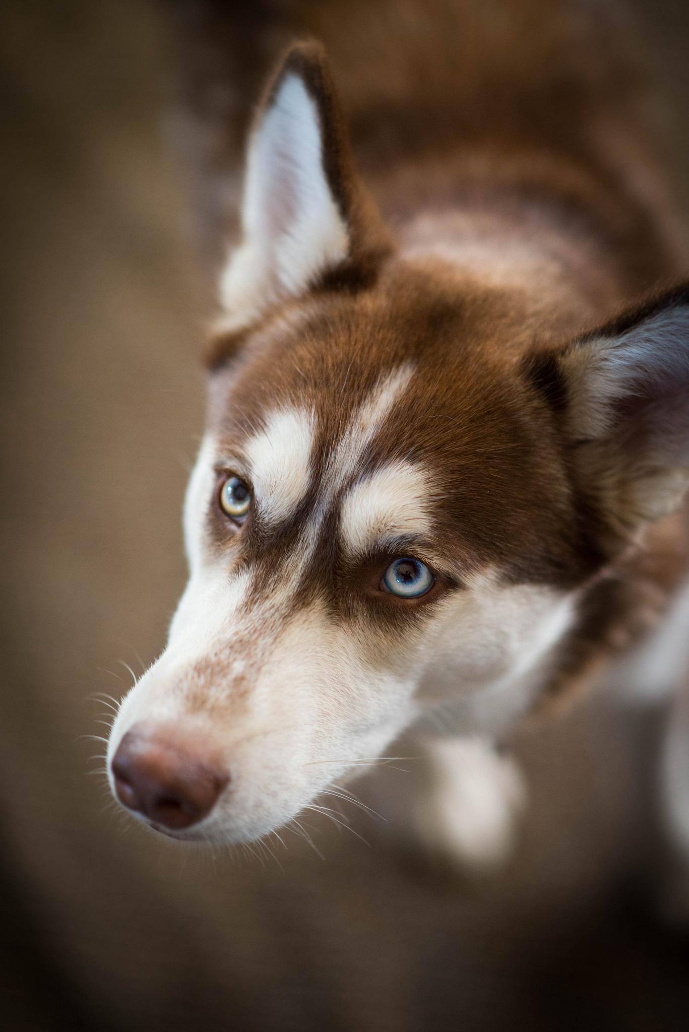 Shot with d610 and nikkor 50 mm 1.8 lens, click to load a larger version