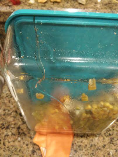 Cracked 13"x9"x4"pan, click to load a larger version