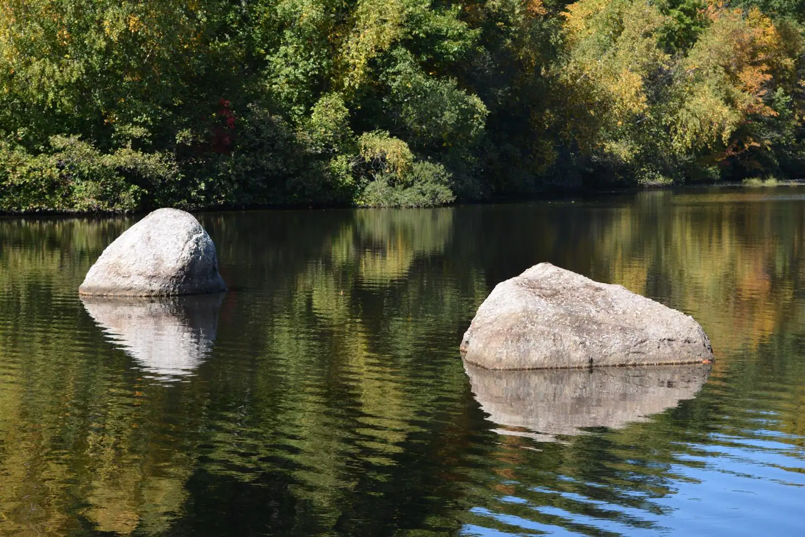 Peaceful pond, click to load a larger version