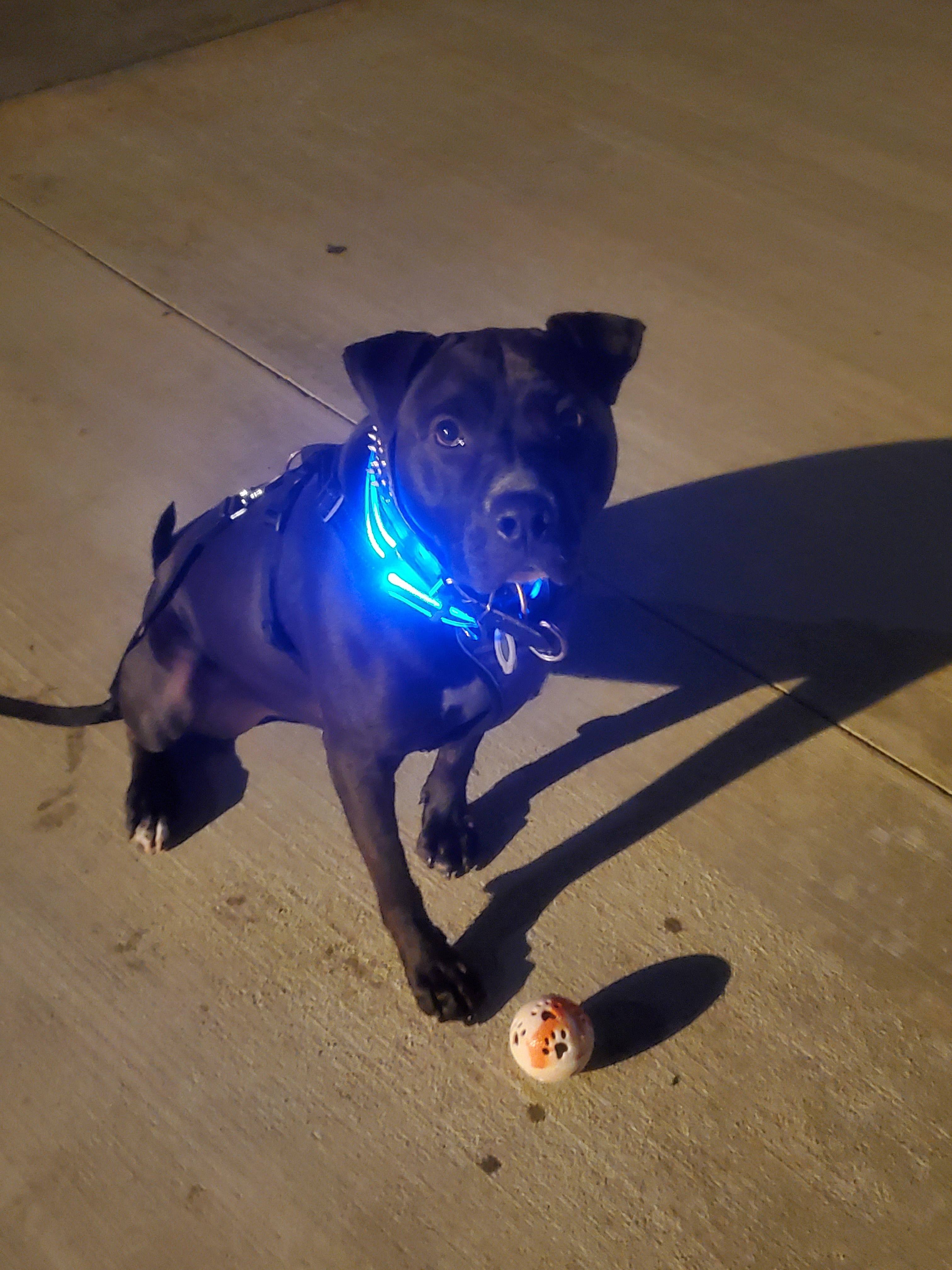 Customer provided image, click to load a larger version